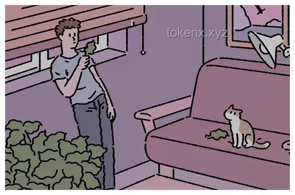 102岁老人误把窗户当门悬挂三楼：老龄化社会居住安全深度剖析